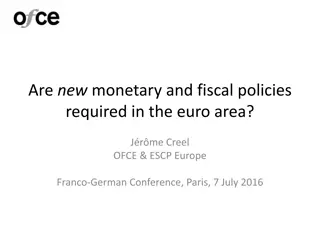 Monetary and Fiscal Policy Implications in the Euro Area