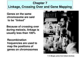 Linkage, Crossing Over, and Gene Mapping in Genetics