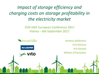 Impact of Storage Efficiency and Charging Costs on Electricity Market Profitability