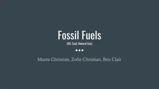 Fossil Fuels and Power Plants
