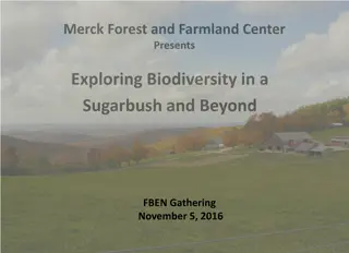 Biodiversity in a Sugarbush and Beyond