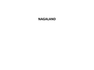 Healthcare Situation in Nagaland: Issues, Practices, and Recommendations