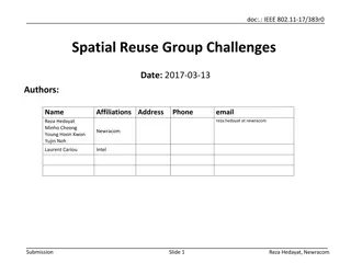 IEEE 802.11-17 Spatial Reuse Group Challenges