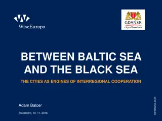 Strengthening Interregional Cooperation Between Baltic and Black Sea Cities