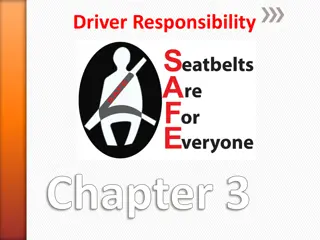 Importance of Seat Belt Safety