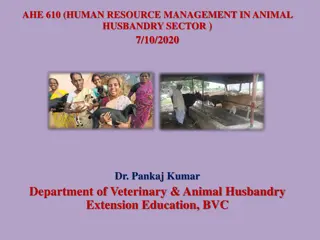 Key Elements of Management Process in Animal Husbandry Sector