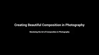 Mastering Beautiful Composition in Photography