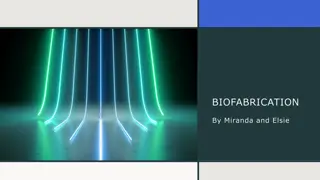 Exploring Biofabrication: Growing Leather, Meat, and Animal Products