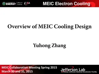 MEIC Electron Cooling Collaboration Meeting Overview