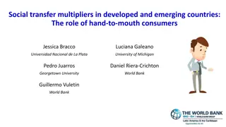 Social Transfer Multipliers in Countries: Insights and Implications