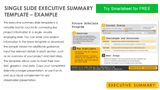 Single Slide Executive Summary Template Example for Project Communication