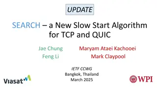 Innovative Slow Start Algorithms for TCP and QUIC Protocol Enhancement