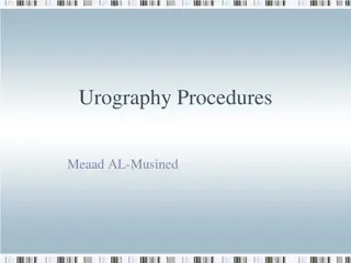 Urography Procedures and Anatomy for Medical Diagnosis