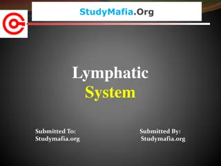 Lymphatic System: Functions and Anatomy