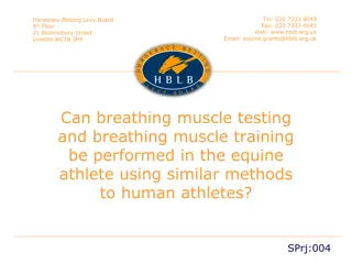 Improving Respiratory Performance in Equine Athletes