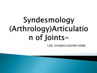 Joints in Syndesmology: An In-Depth Analysis