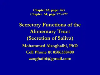 Alimentary Tract Secretory Functions and Saliva Secretion Overview