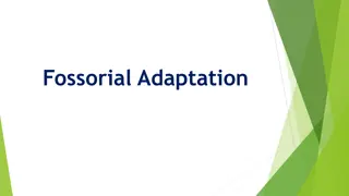 Fossorial Adaptation: An Overview of Animal Burrowing Behavior