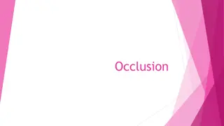 Occlusion and Dental Development in Infants