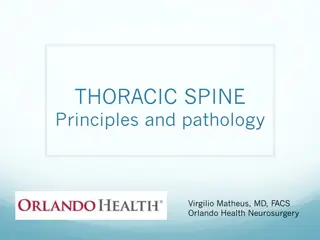 Thoracic Spine Pathology: Common Terms and Disorders