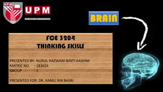 Complexities of the Human Brain