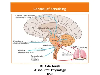 Control of Breathing: Respiratory Physiology Insights