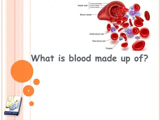 Fascinating Insights into the Composition and Functions of Blood