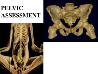 Pelvic Assessment: Types, Procedures, and Importance