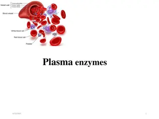 Plasma Enzymes: Functions, Classification, and Medical Importance