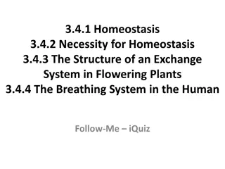 Homeostasis: Importance and Systems