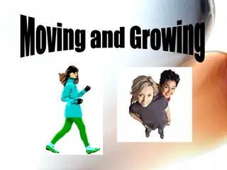 Human Joints and Movement