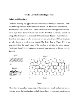 Genesis of Austin Flint Murmur Mechanisms and Theories