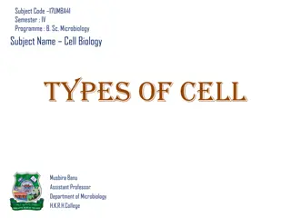 Types of Cell: Eukaryotic vs. Prokaryotic Cells Explained
