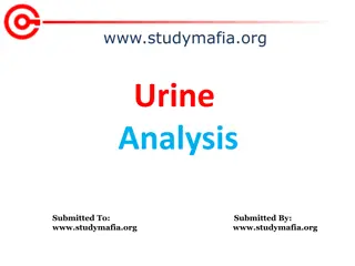 Urinalysis: Purpose, Procedure, and Benefits