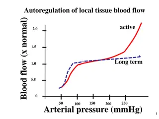 Coronary Blood Flow Regulation Mechanisms