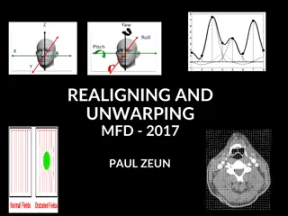 fMRI Preprocessing Techniques