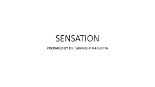 Sensation: Types and Characteristics