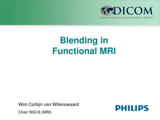 Functional MRI Data Mapping Process