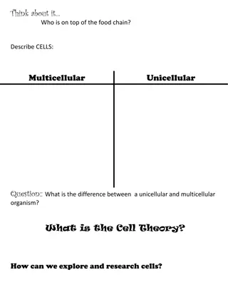 Cells and Organisms: The Basics Explained