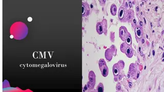 Cytomegalovirus (CMV) Infection: Risks, Impact, and Prevention