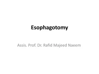 Esophagotomy Procedure: Indications, Surgical Steps, and Post-Operative Care