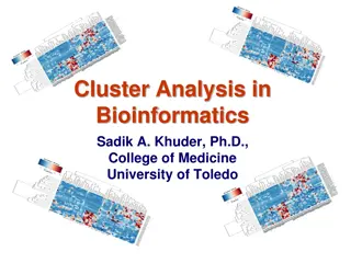 Cluster Analysis in Bioinformatics