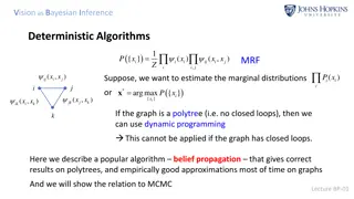 Vision as Bayesian Inference and Belief Propagation