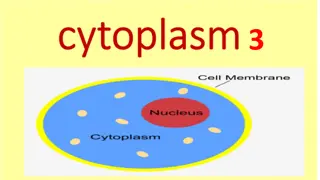 Cell Organelles and Their Functions