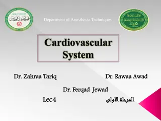 Cardiovascular System: Heart Chambers, Circulations, and Valves