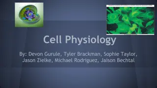 Cell Physiology and Transport