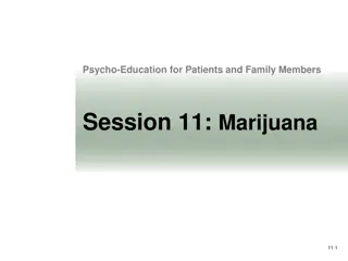 Impact of Marijuana Usage on Health and Wellness