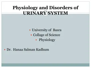 Physiology and Disorders of the Urinary System