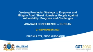 Gauteng Provincial Strategy to Empower and Mitigate Adult Street Homeless People