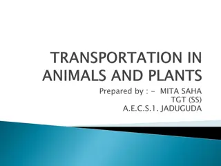 Excretion in Animals: Process, Systems, and Products